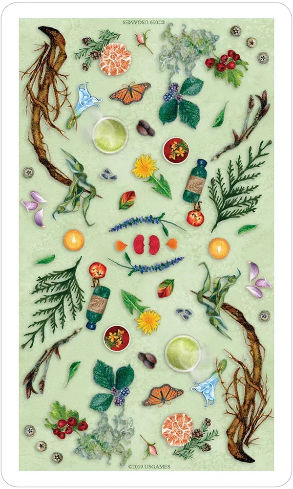 The Herbcrafter’s Tarot Herbs Trees Flowers 78 Card Deck 124 Page Herbal Inspiration Book